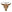 Cattle call threads  - Home